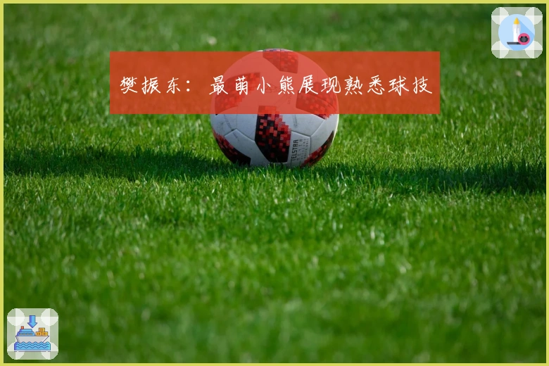 樊振东：最萌小熊展现熟悉球技