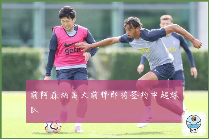前阿森纳高大前锋即将签约中超球队