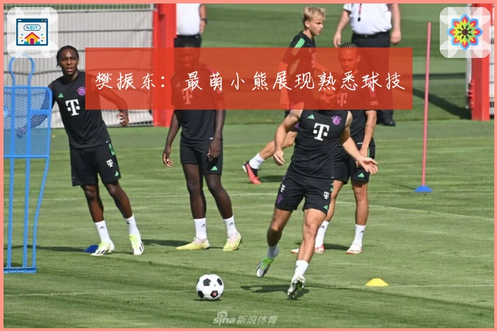 樊振东：最萌小熊展现熟悉球技